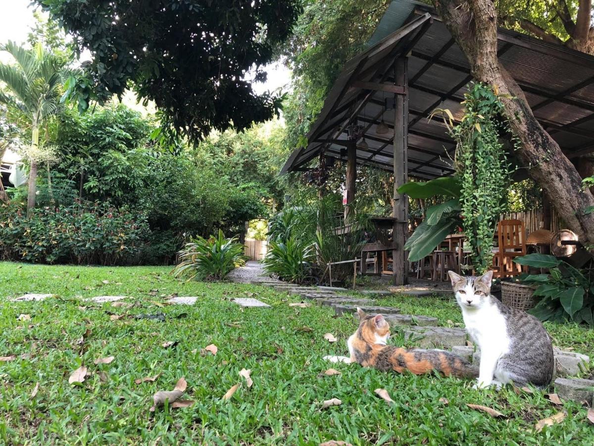 Bed and Breakfast Lanna House Lanna Hut Chiangmai Чіангмай Екстер'єр фото